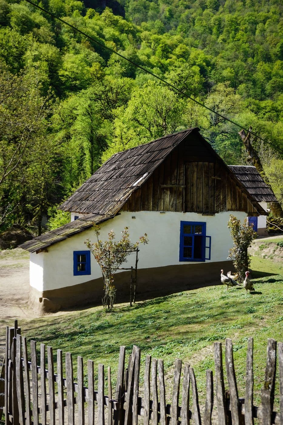 Bucătăria de vară, cu gardul de uluci spre uliță