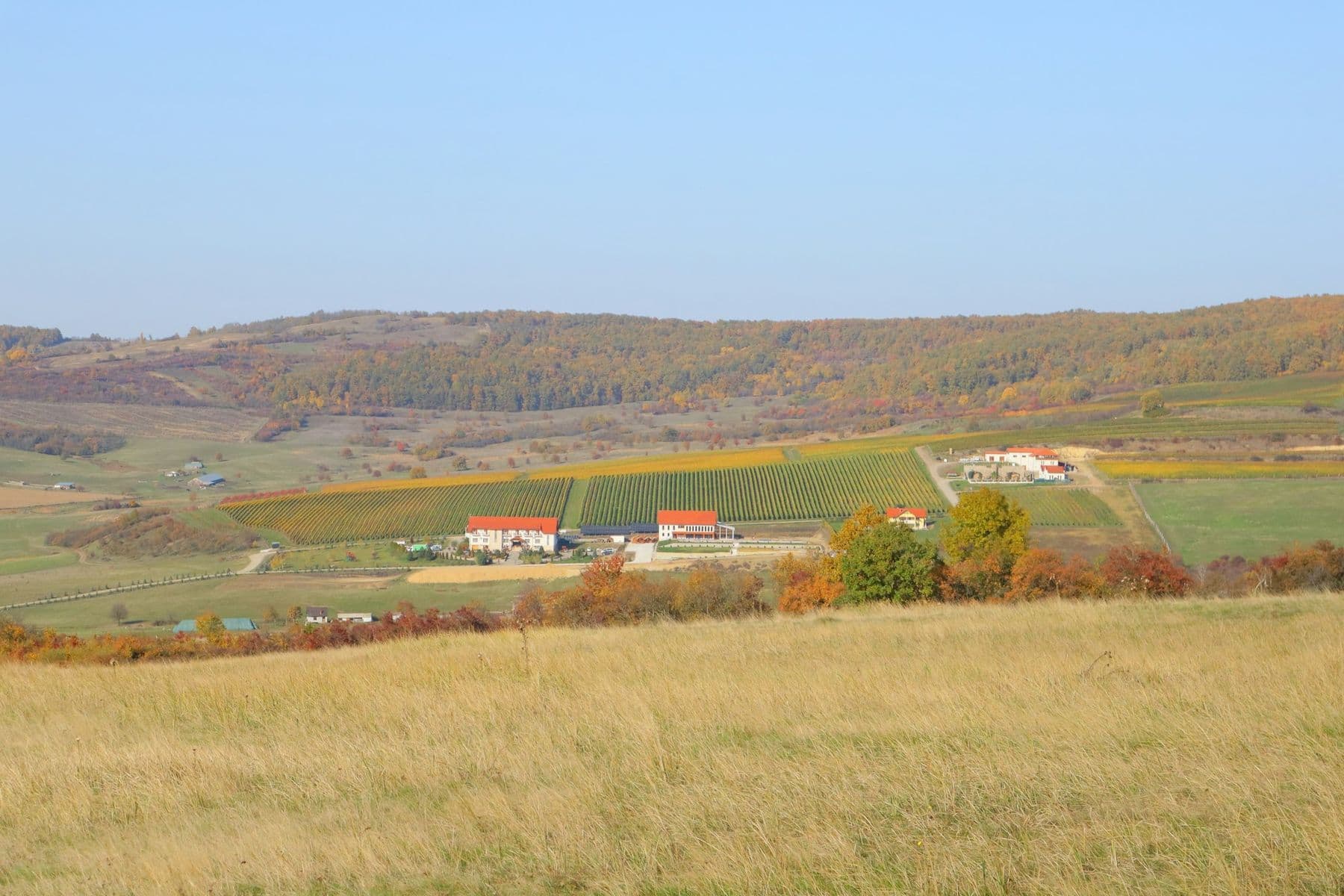 Dealurile din jur, toamna